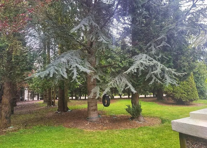 Private Ballysax House ゲストハウス *