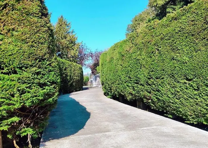 Private Ballysax House * キルデア